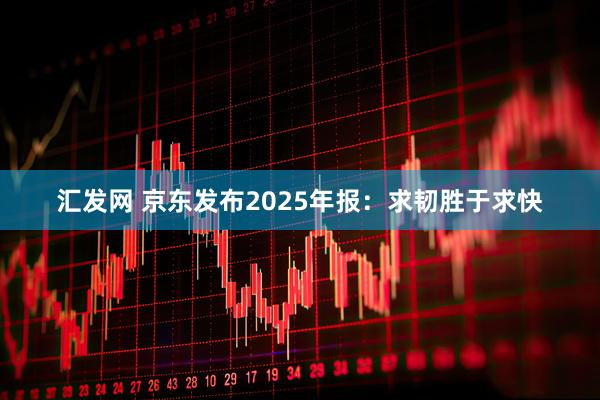 汇发网 京东发布2025年报：求韧胜于求快