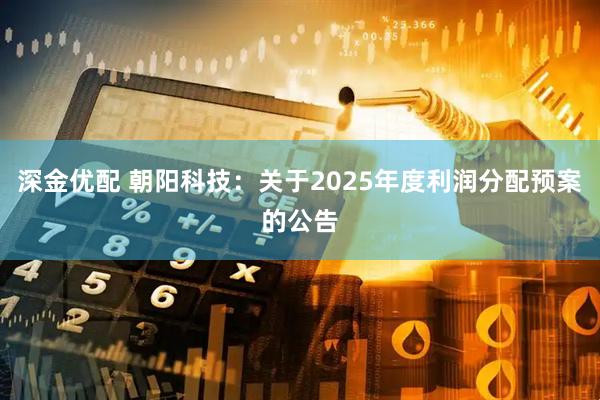 深金优配 朝阳科技：关于2025年度利润分配预案的公告