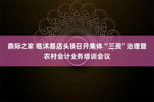 鼎际之家 临沭县店头镇召开集体“三资”治理暨农村会计业务培训会议