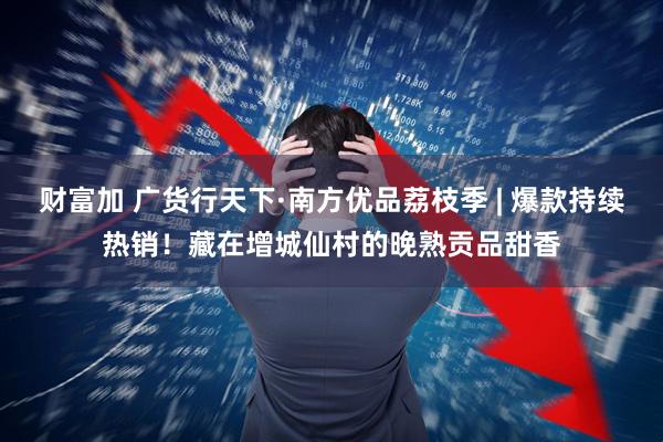 财富加 广货行天下·南方优品荔枝季 | 爆款持续热销!藏在增城仙村的晚熟贡品甜香