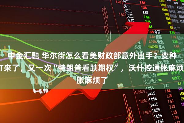 中金汇融 华尔街怎么看美财政部意外出手？变种QT来了，又一次“特朗普看跌期权”，沃什控通胀麻烦了