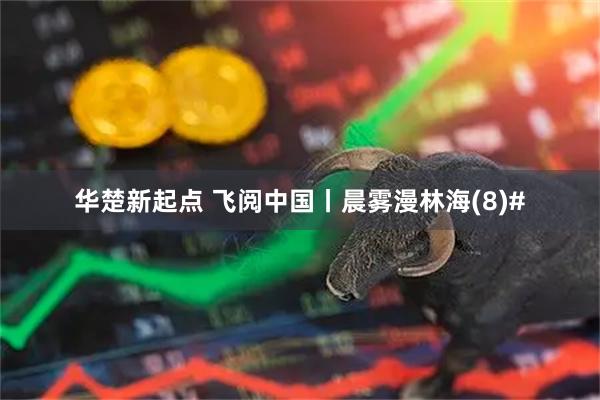 华楚新起点 飞阅中国丨晨雾漫林海(8)#